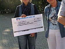 Db IMG 25181